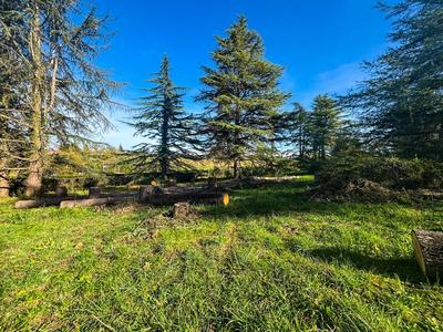 Terrain constructible - 1 556 m²