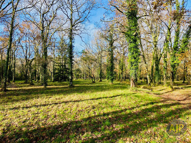 Maison - 209 m² - 8 pièces