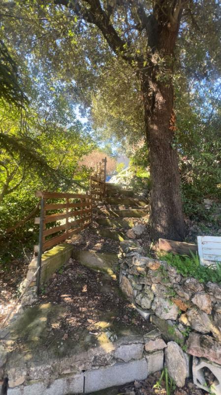 Villa - 330 m² - 11 pièces