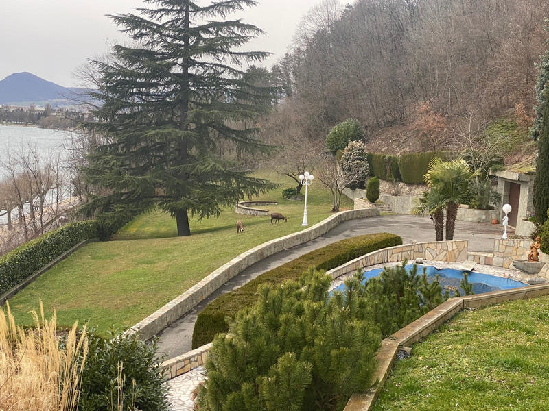 Maison - 357 m² - 7 pièces