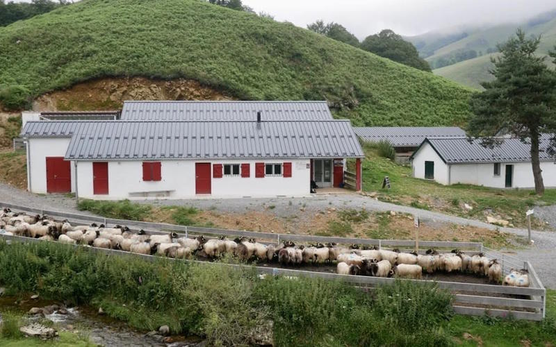 Randonnée en quadricycle électrique à Iraty, rencontre avec une bergère et pause gourmande en estive