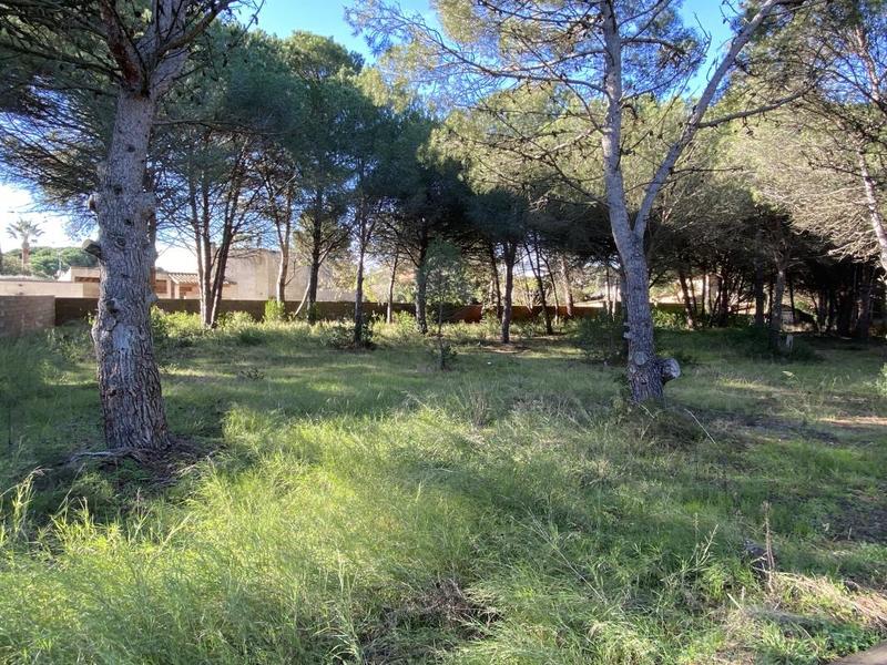 Terrain - 1 001 m²