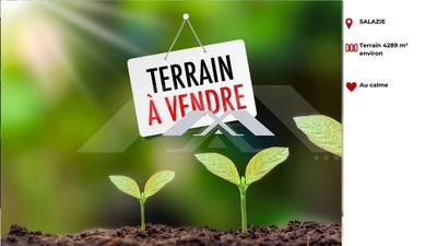 Terrain industriel - 4 289 m²