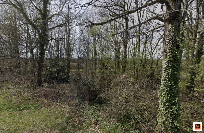 Maison ancienne - 60 m² - 4 pièces