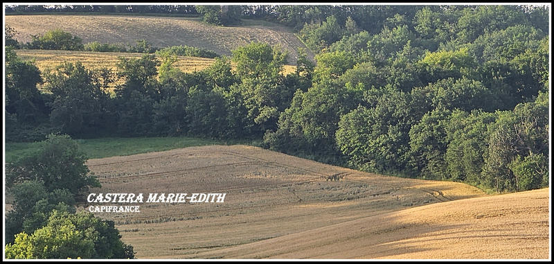 Propriété - 860 m² - 1 pièce