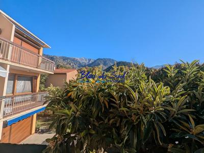 Studio - 31 m² - 1 pièce