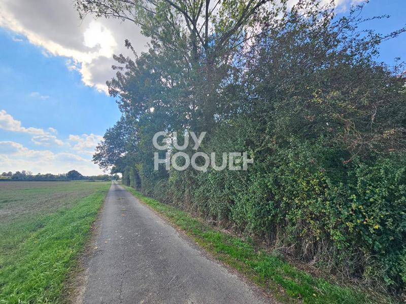 Terrain de loisirs - 6 080 m²