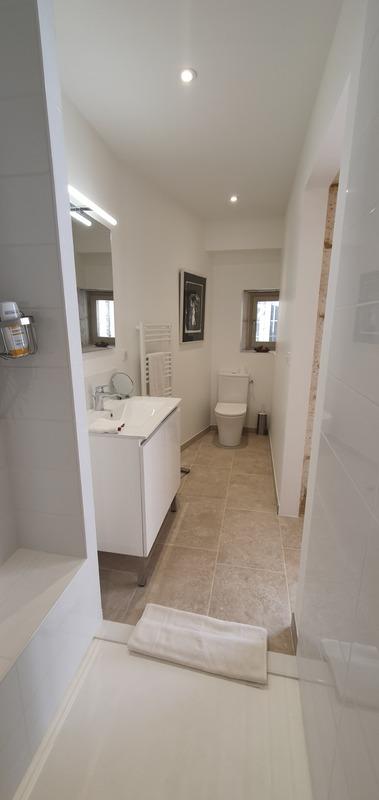 Hôtel particulier - 350 m² - 15 pièces