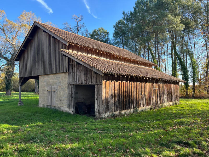 Viager - Maison - 110 m² - 5 pièces