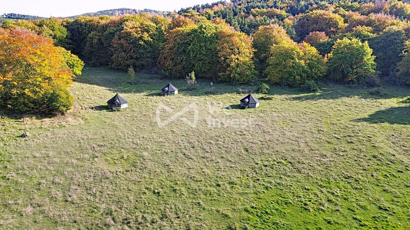 Maison ancienne - 475 m² - 8 pièces