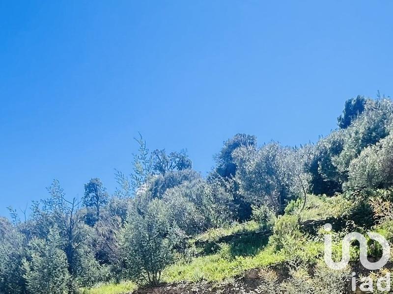 Maison - 178 m² - 5 pièces