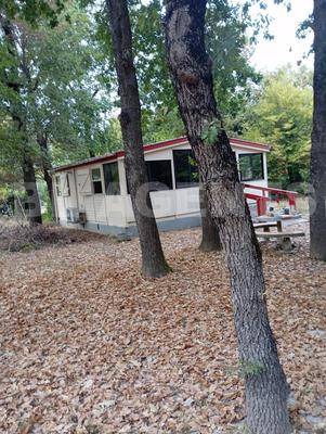 Châlet - 44 m² - 2 pièces