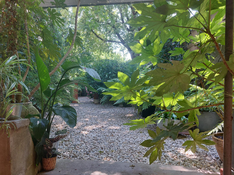 Maison - 230 m² - 6 pièces