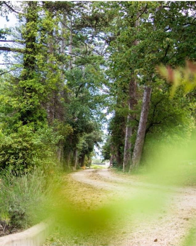 Propriété - 600 m² - 16 pièces