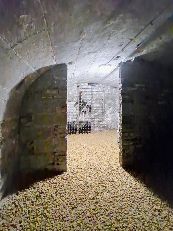 Maison - 137 m² - 5 pièces