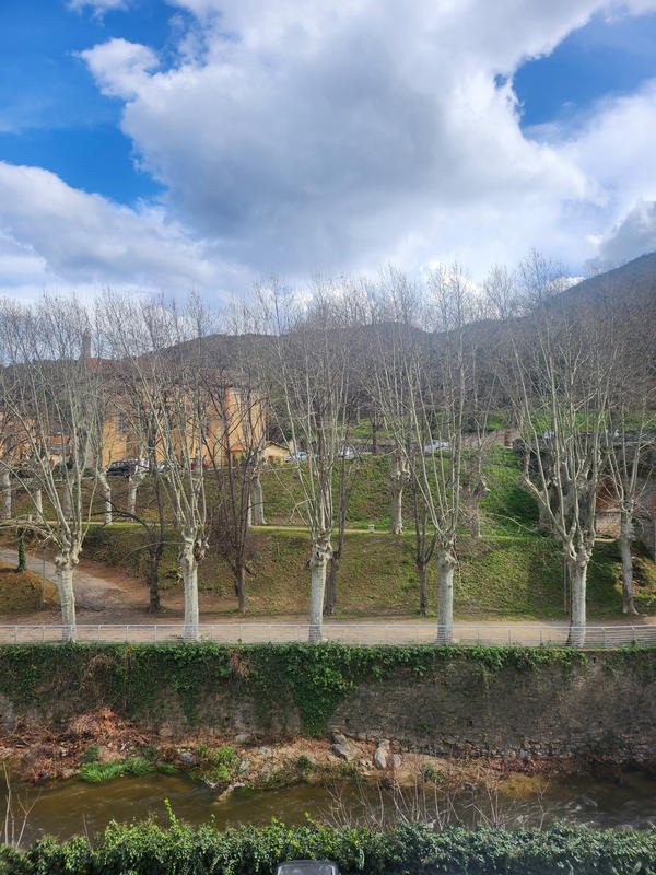 Appartement - 23 m² - 1 pièce