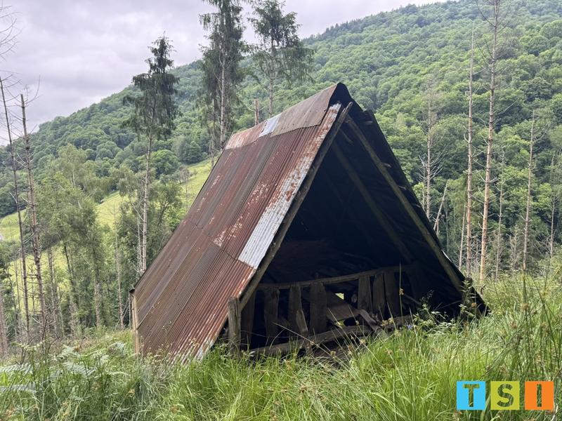 Maison - 25 m² - 1 pièce