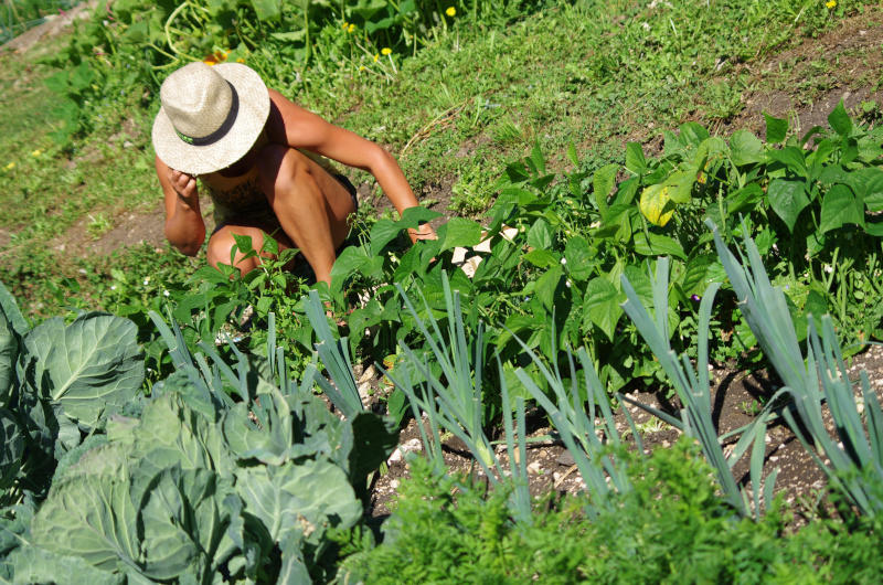 "Techniques et connaissance du sol de mon jardin"