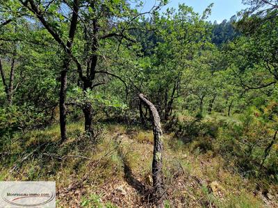 Terrain inconstructible - 1 763 m²