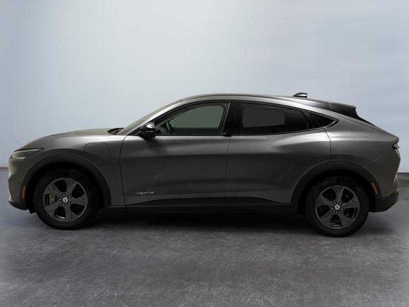 Ford Mustang Mach-E Standard Range 76 kWh 269 ch