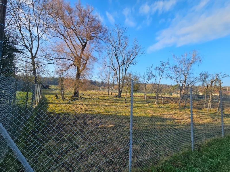 Terrain - 12 593 m²