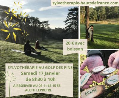 Sylvothérapie Hardelot - Golf des Pins