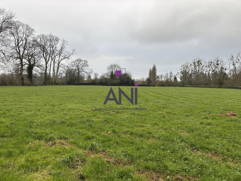 Terrain - 17 000 m²