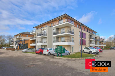 Appartement - 50 m² - 2 pièces