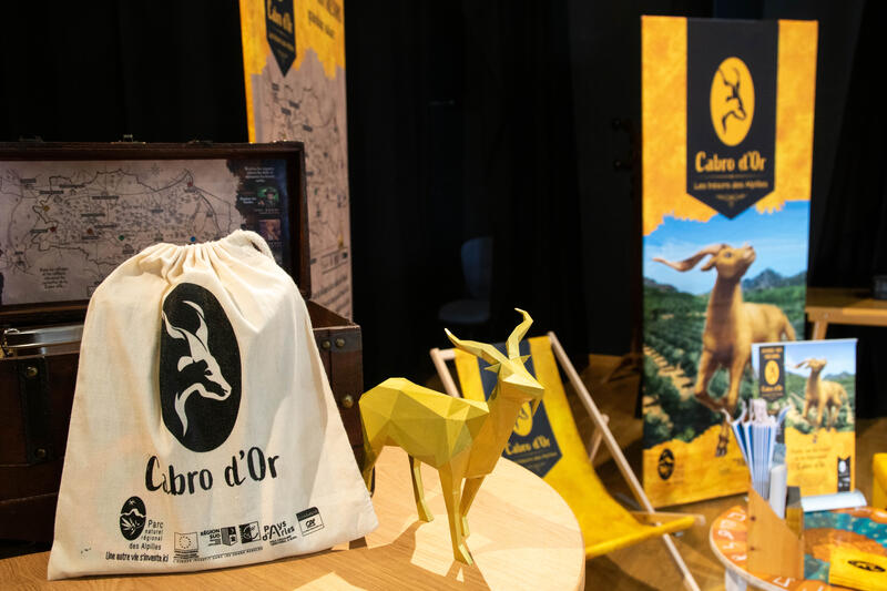 La Cabre d'Or : Découverte du jeu avec des sorties semi-guidées