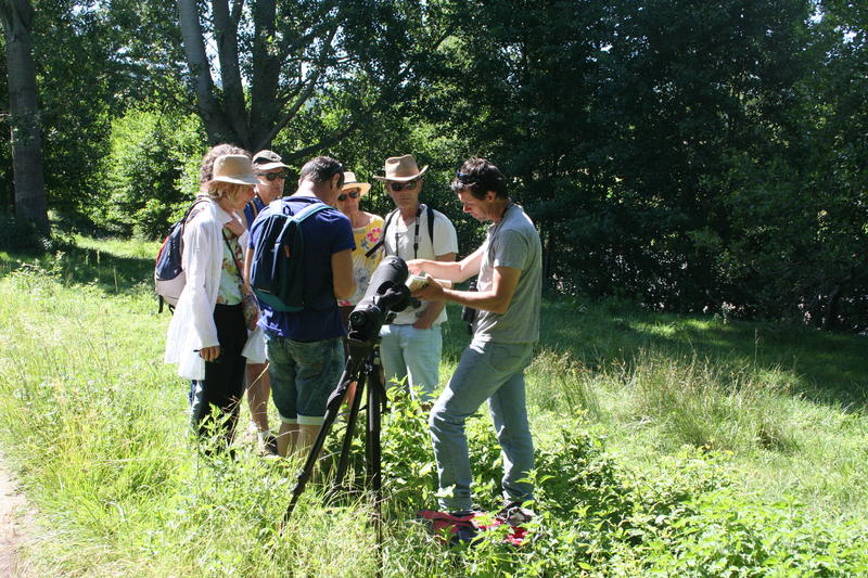 Maison des oiseaux et de la nature