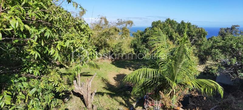 Terrain constructible - 704 m²