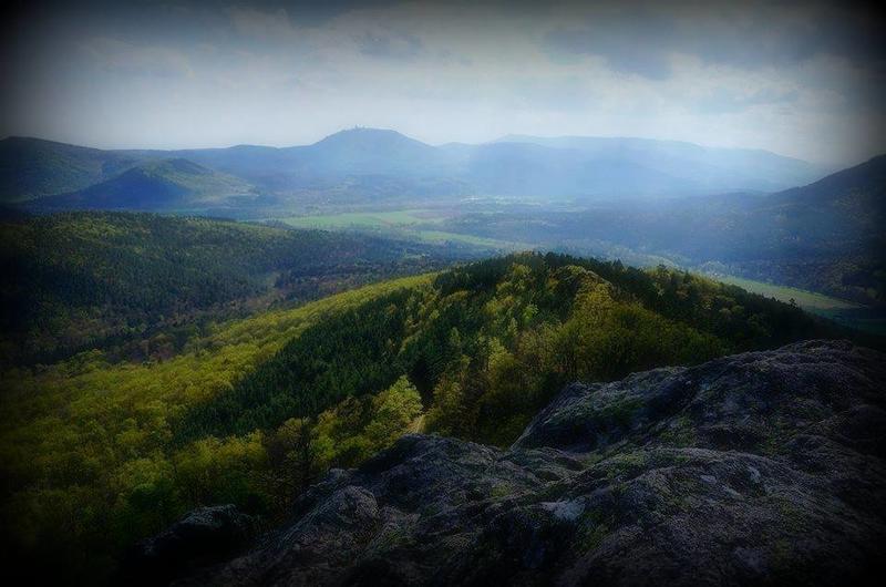 Marche printanière du 1er mai