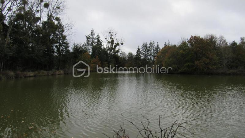 Terrain de loisirs - 16 985 m²