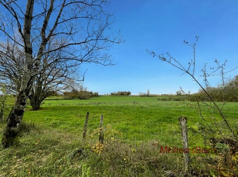 Hangar - 135 m² - 2 pièces