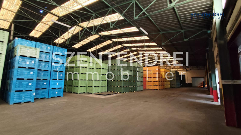 Entrepôt - 5 119 m²