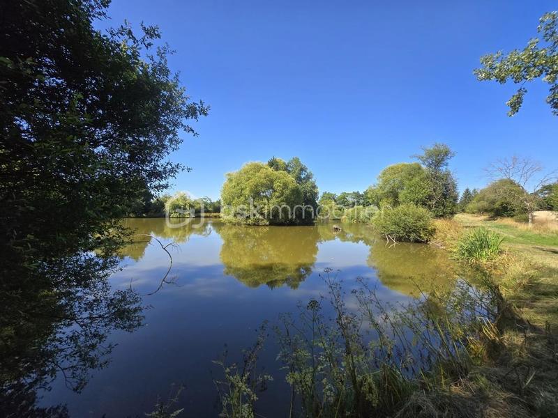 Terrain de loisirs - 45 907 m²