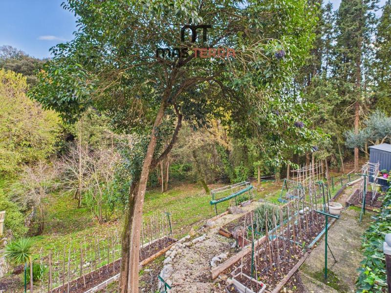 Maison - 230 m² - 6 pièces