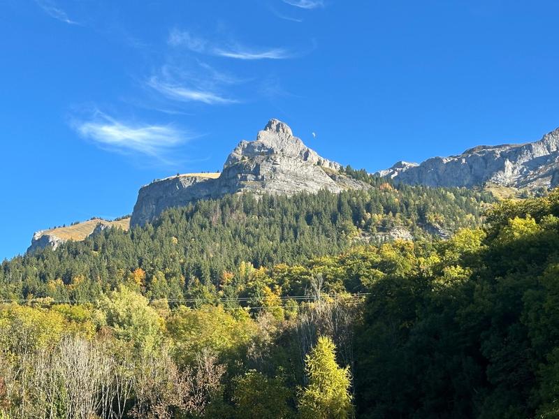 Maison - 297 m² - 11 pièces