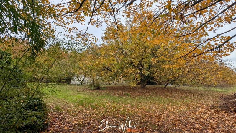 Maison - 83 m² - 3 pièces