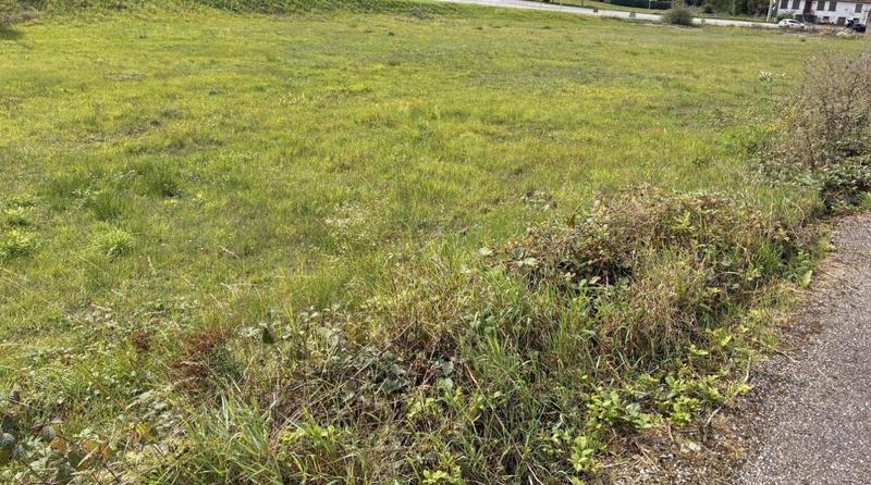 Terrain constructible - 6 263 m²