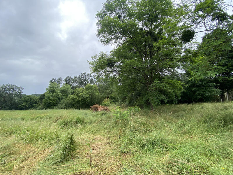 Maison - 159 m² - 5 pièces