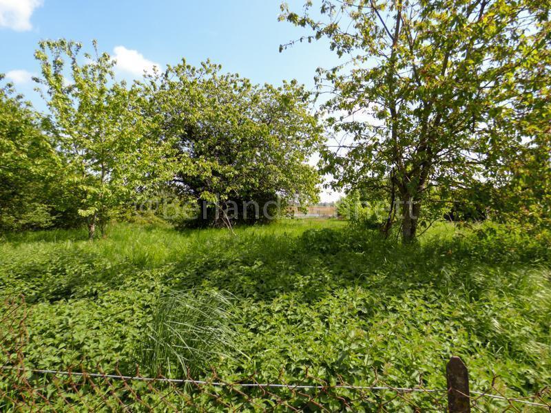 Maison en pierre - 112 m² - 6 pièces