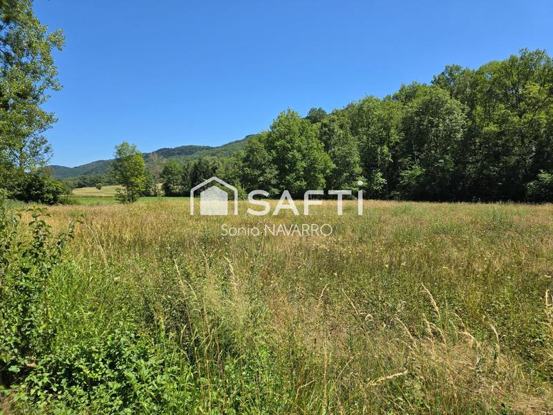 Terrain - 3 002 m²