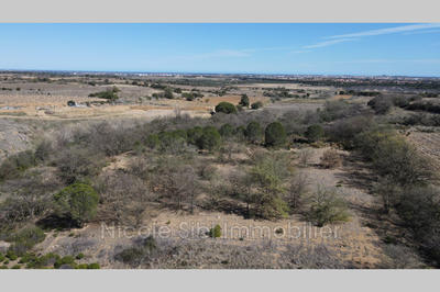 Terrain agricole - 4 920 m²