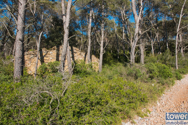 Terrain de loisirs - 42 302 m²