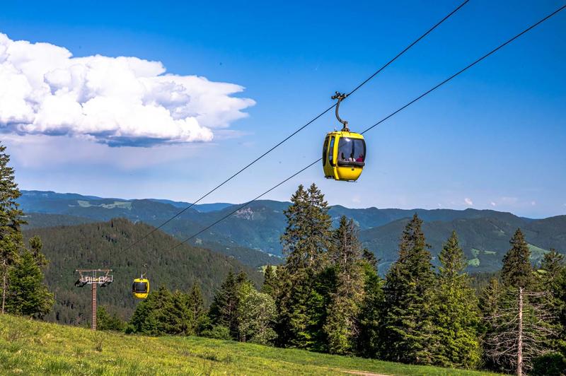 Club Vosgien : Schönau - Belchen (Forêt Noire)