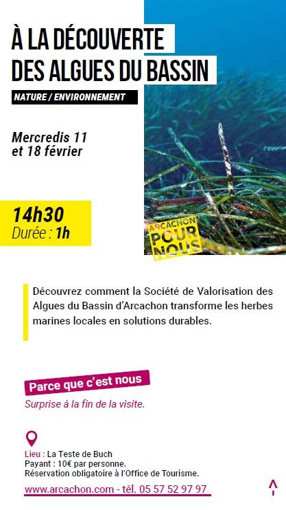 Arcachon pour nous : a la découverte des algues du Bassin
