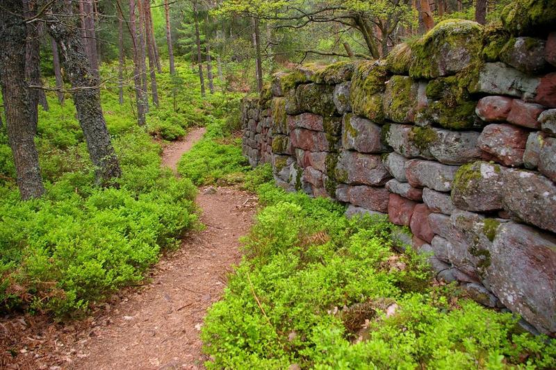 Balade nature - les mystères du mur païen