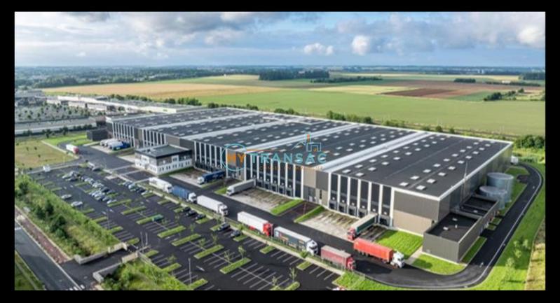 Local d'activité / Entrepôt - 6 280 m²