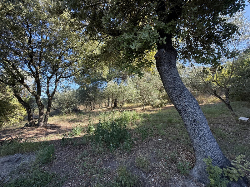 Terrain - 530 m²
